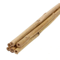Arac din bambus pentru suport plante si legume diametrul 14-16 mm inaltime 120 cm