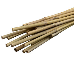 Arac din bambus pentru sustinere plante diametru 14 mm lungime 180 cm