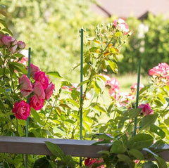 Arac sustinere plante otel si plastic lungime 90 cm verde
