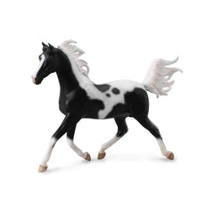 Armasar Metis Arab 1: 12 Collecta