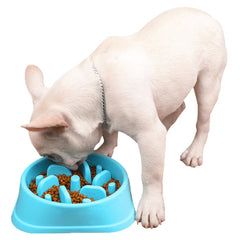 Castron pentru hranire lenta Animale de Companie