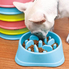 Castron pentru hranire lenta Animale de Companie