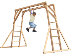 Catarator monkey Bars Climbing Frame Dunster House
