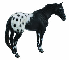 Figurina Armasar Black Appaloosa XL Collecta