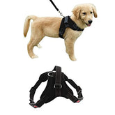 Ham pentru Caini reflectorizant confortabil marime M