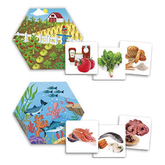 Joc pentru dezvoltarea cunostintelor despre natura: De unde provin alimentele?
