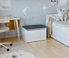 Cutie de jucarii Daria - panou din grafit