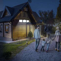 Proiector solar cu senzor de miscare 171 LED-uri