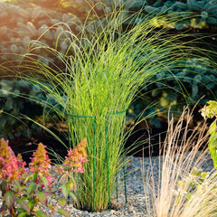 Suport sustinere flori set 3 bucati inaltime 60 cm latime 20 cm otel verde