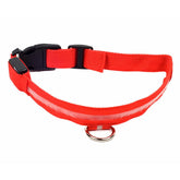 Zgarda Iluminata cu LED Rosu pentru Caine sau Pisica