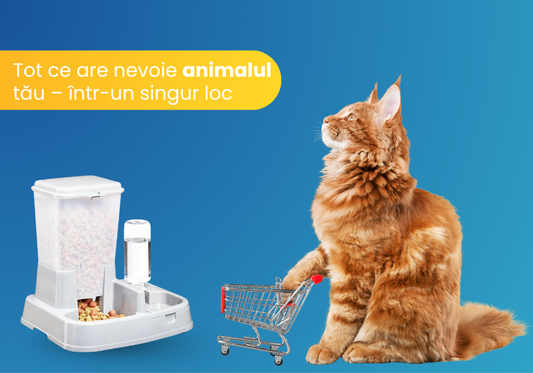 Ce produse alegi pentru câinele sau pisica ta? Recomandări din Pet Shop