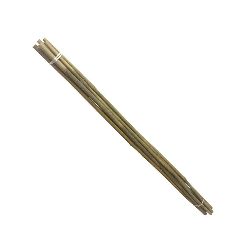 Arac din bambus pentru sustinere plante diametru 14 mm lungime 180 cm