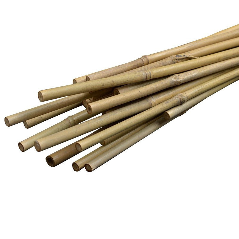 Arac din bambus pentru sustinere plante diametru 14 mm lungime 180 cm