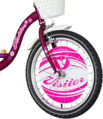 Bicicleta 20 inch cadru otel frana v-brake scaun de papusi cu centuri cos visitor liloo