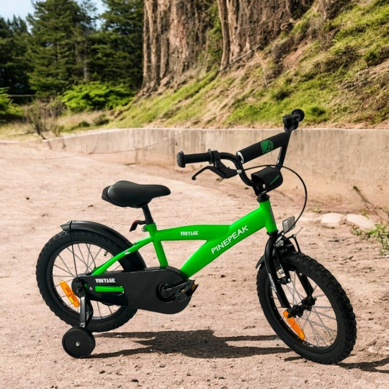 Bicicleta cu roti ajutatoare 16 inch v-brake scaun ajustabil cadru otel jante aluminiu aparatoare lantnoroi verde