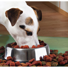 Castron Metalic pentru hranire Animale de Companie 29cm