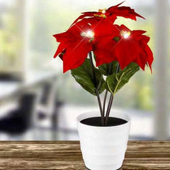 Craciunita Decorativa cu Led 35 cm Home