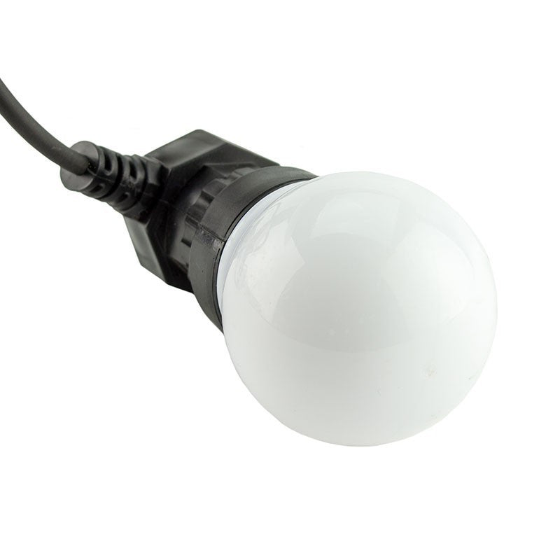 Ghirlanda decorativa 10 Globuri led colorate lumina statica 5 m