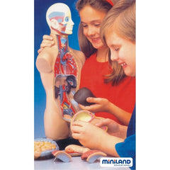 Joc Set Anatomia Umana ideal gradinite, scoli, activitati after-school