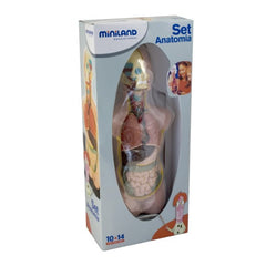 Joc Set Anatomia Umana ideal gradinite, scoli, activitati after-school
