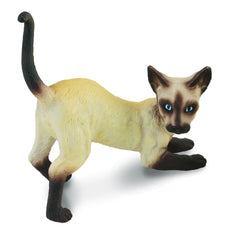 Pisica siameza - Collecta