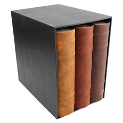 Set 3 albume foto10x15cm 200 poze piele ecologica spatiu notite legatura tip carte
