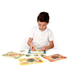 Set 4 puzzle educative De unde provin Alimentele