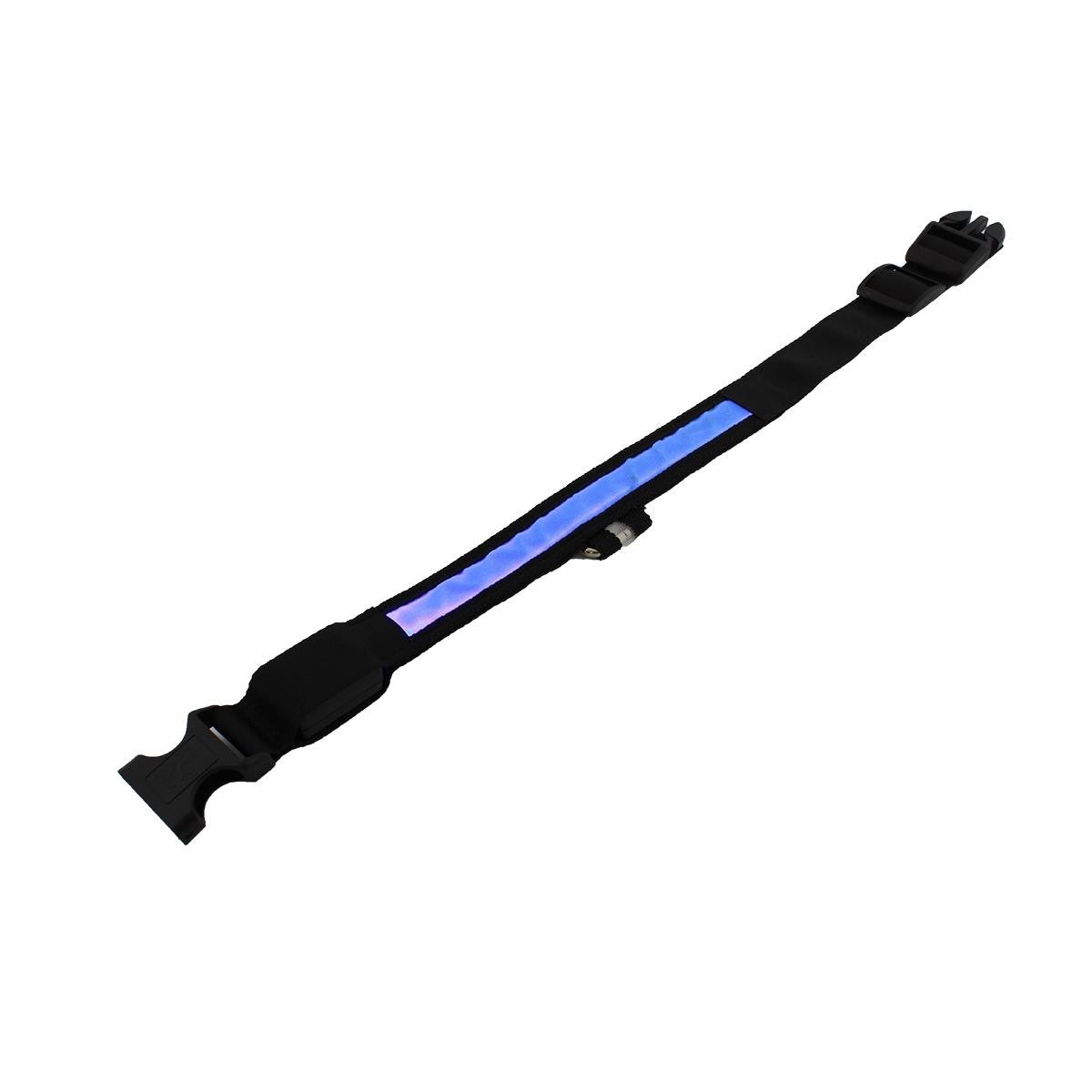 Zgarda pentru pisica sau caine iluminata cu LED culoare Albastra AVX-AG232A